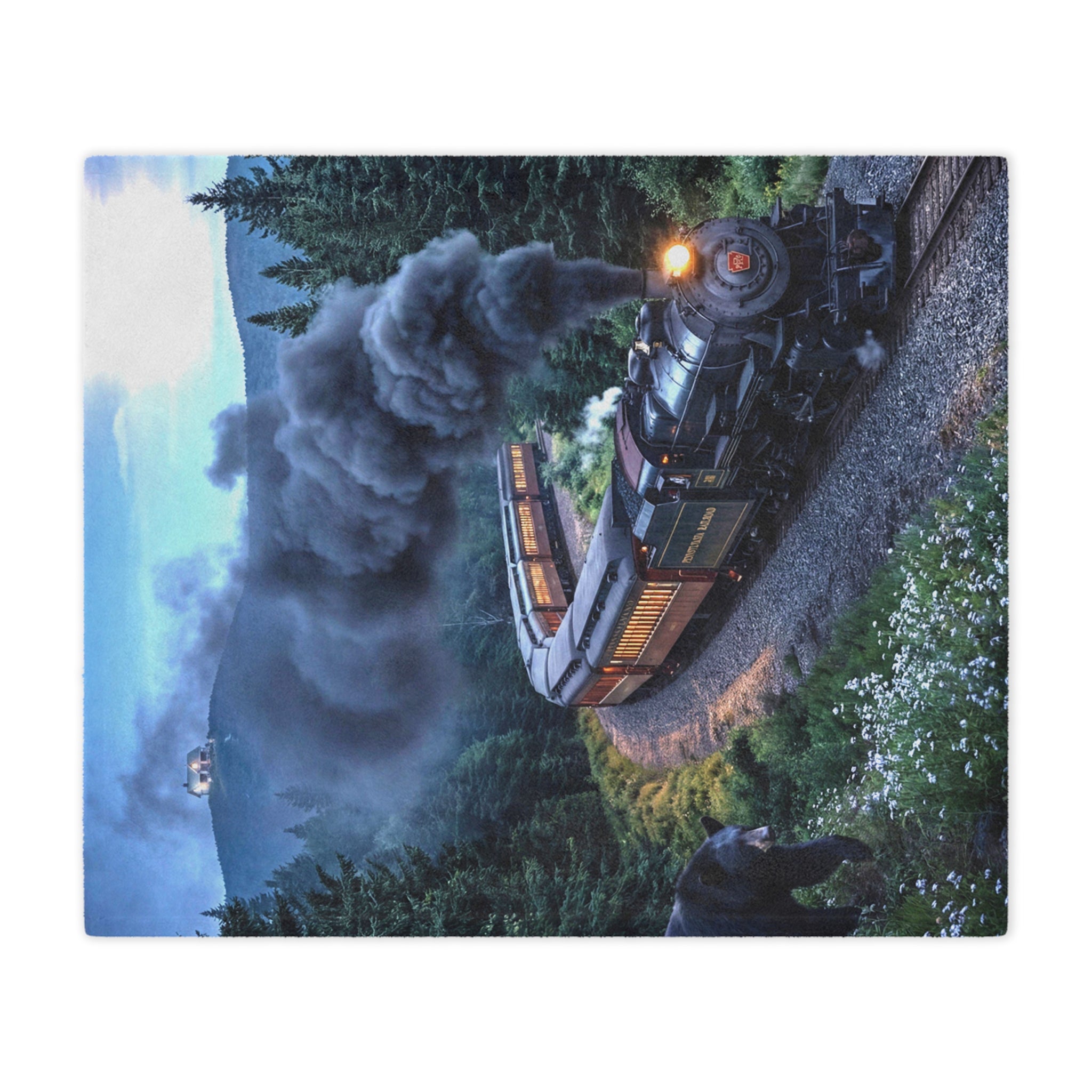 Vintage Steam Train Minky Blanket / Scenic Locomotive