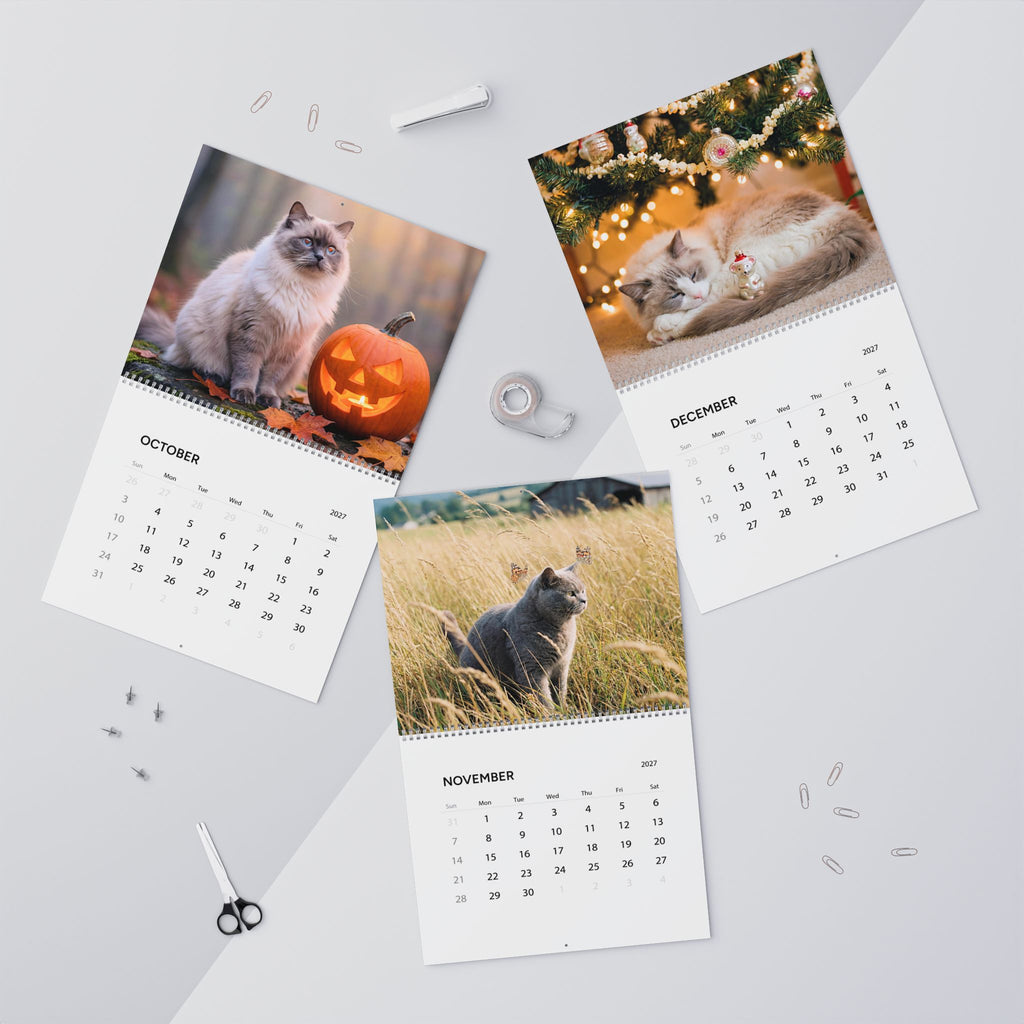 Cozy Cat Photography Wall Calendar | 2027 Monthly Cat Photo Calendar