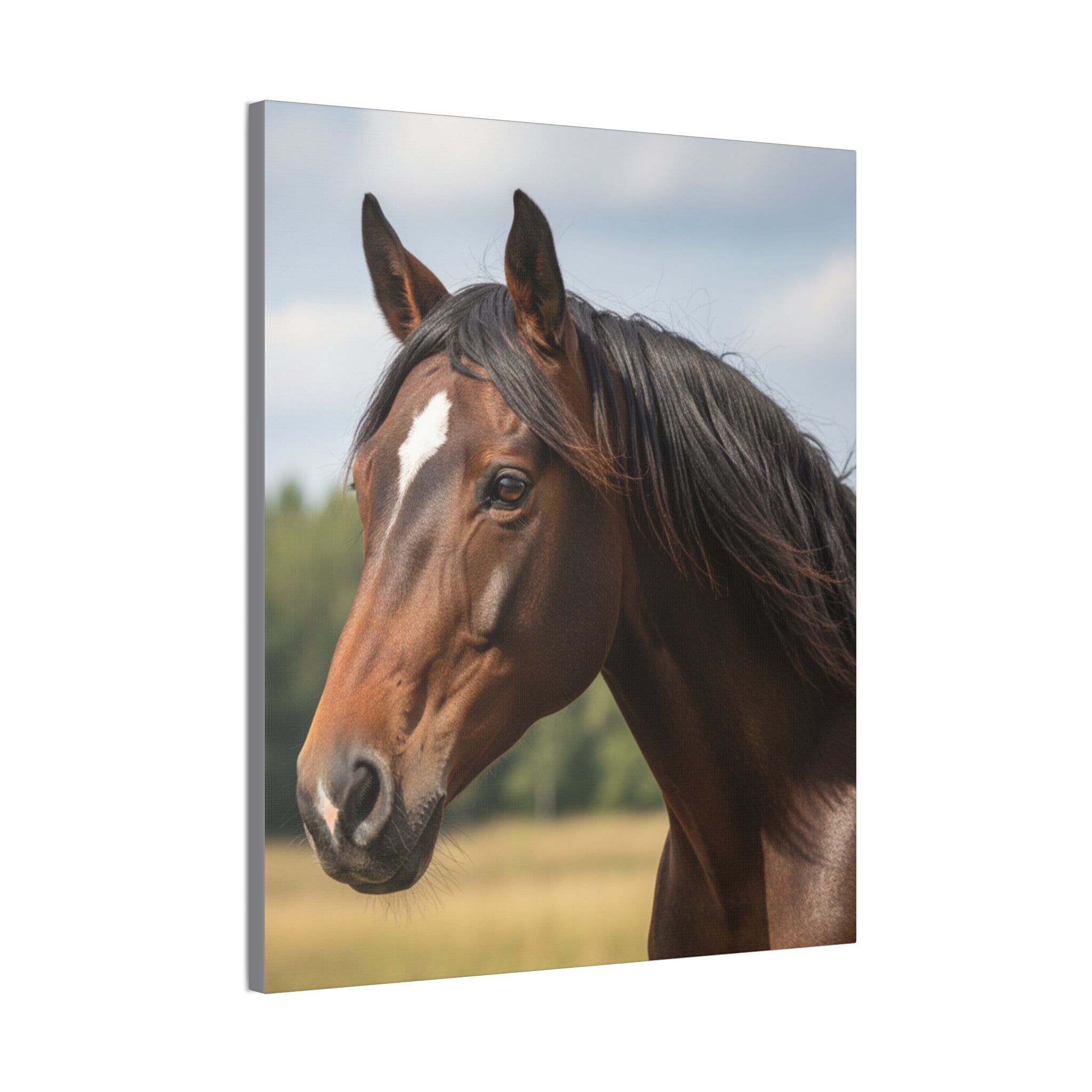 Bay Horse Portrait Canvas Print / Wall Art for Equestrian Lovers