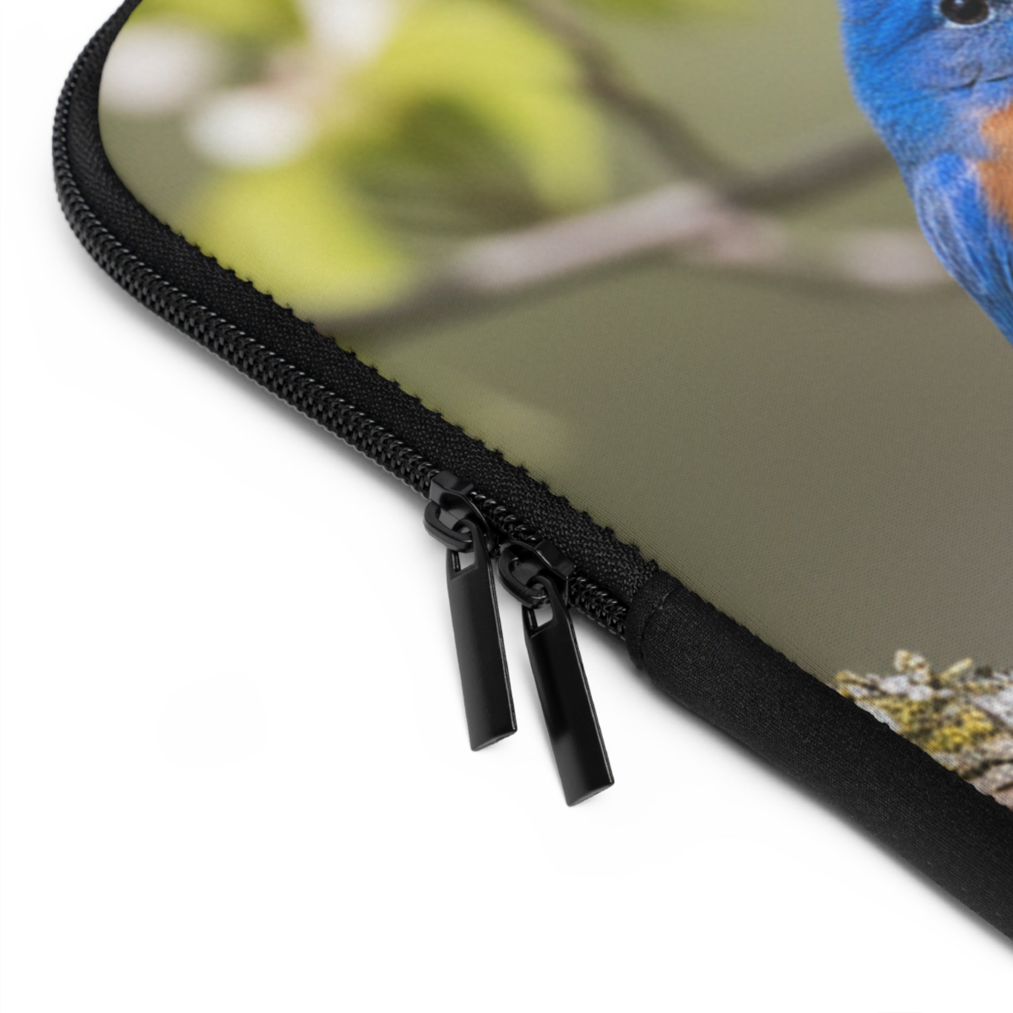 Laptop Sleeve Eastern Bluebirds on Branch | Nature Bird Photography