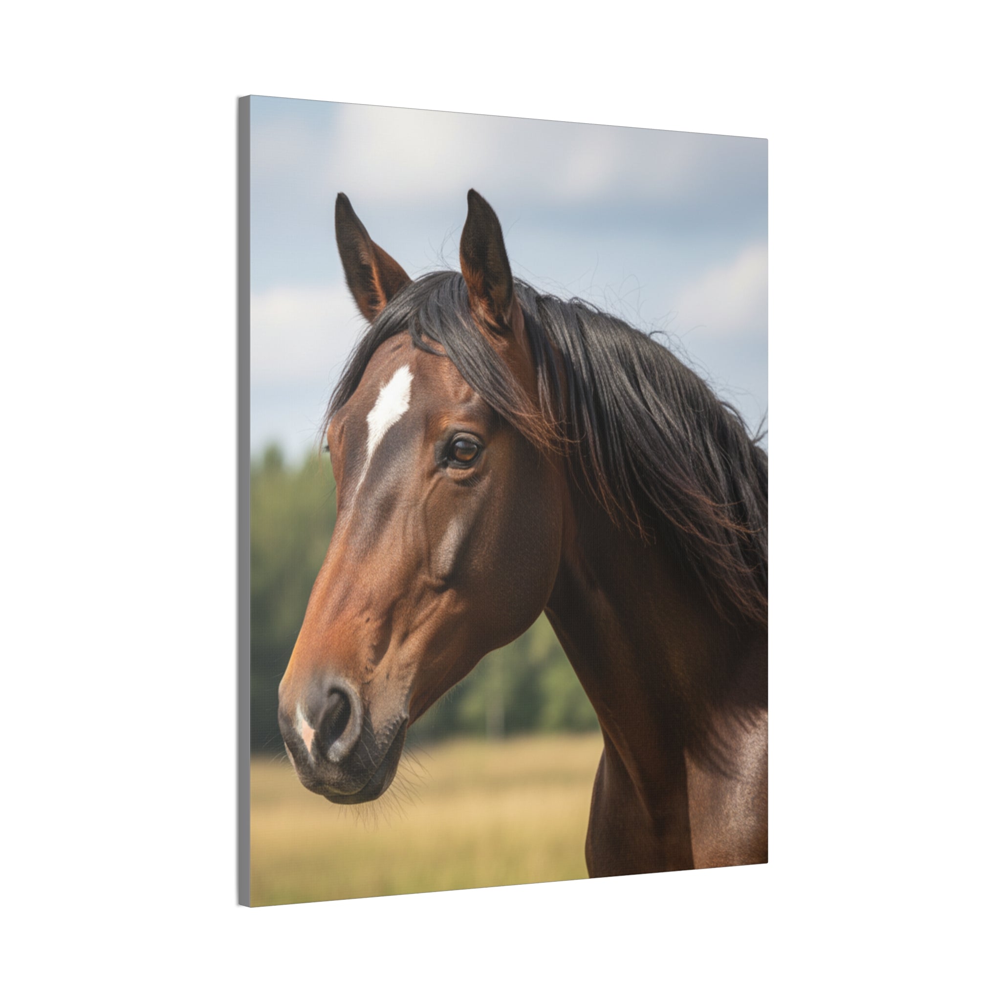 Bay Horse Portrait Canvas Print / Wall Art for Equestrian Lovers