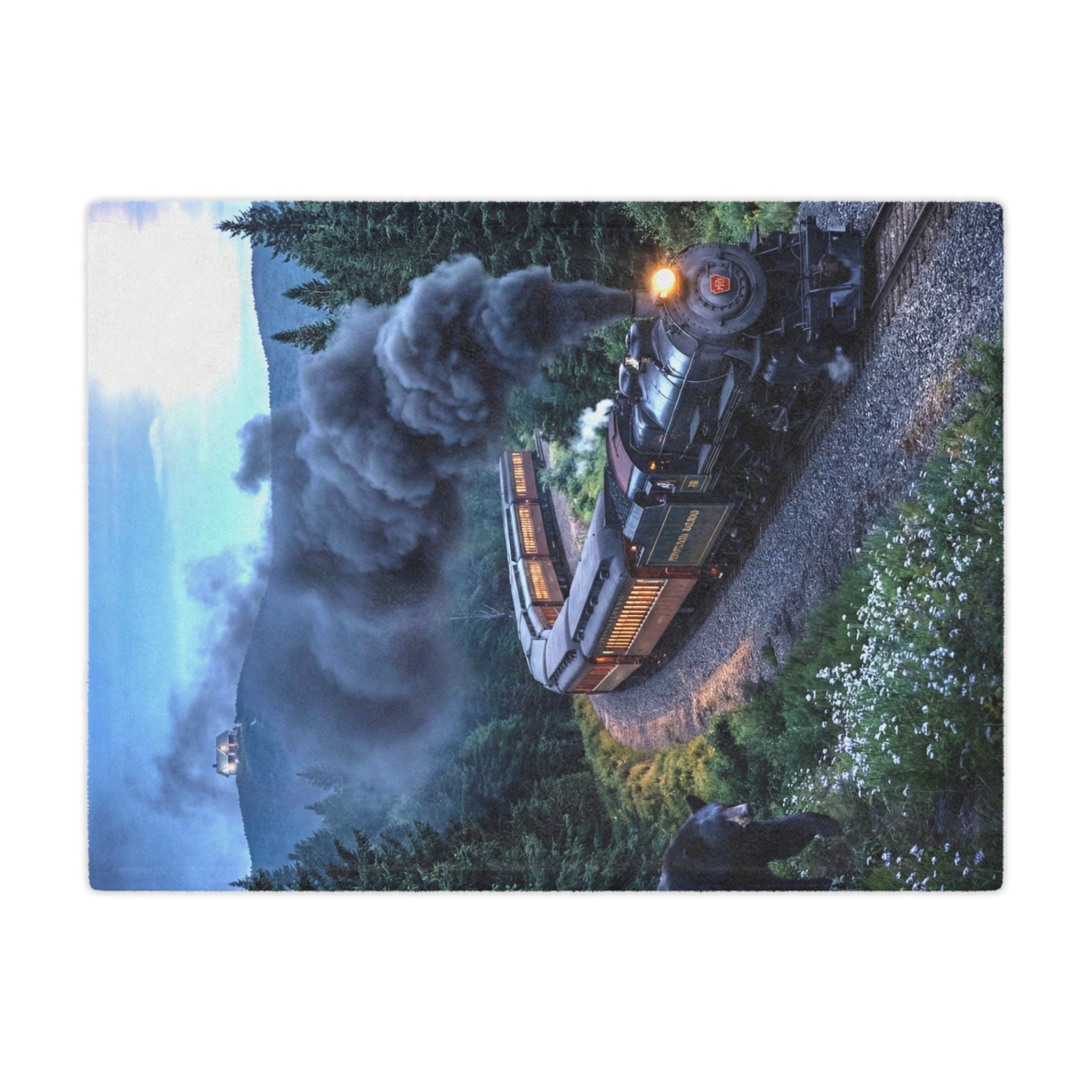 Vintage Steam Train Minky Blanket / Scenic Locomotive
