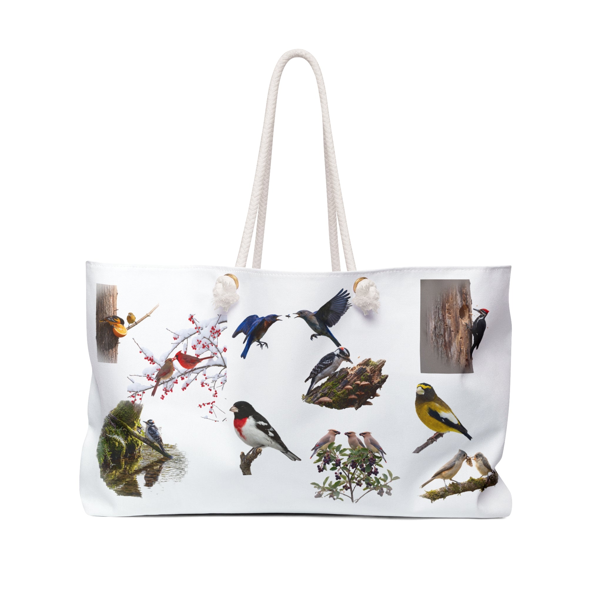 Weekender Bag/Bird Illustration / Botanical Songbird Travel Tote