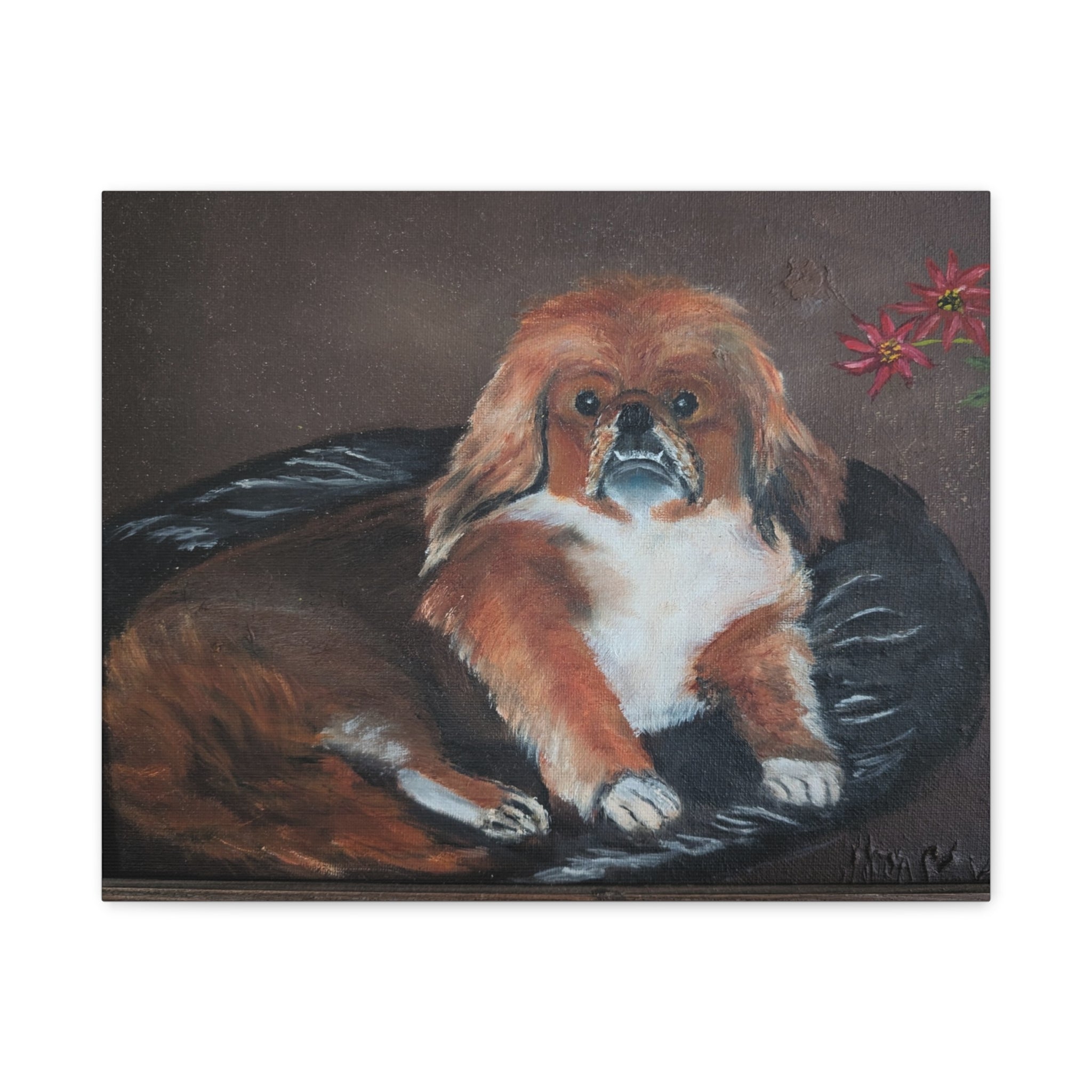 Pekingese Dog Portrait Canvas/Pet Art Matte Stretched
