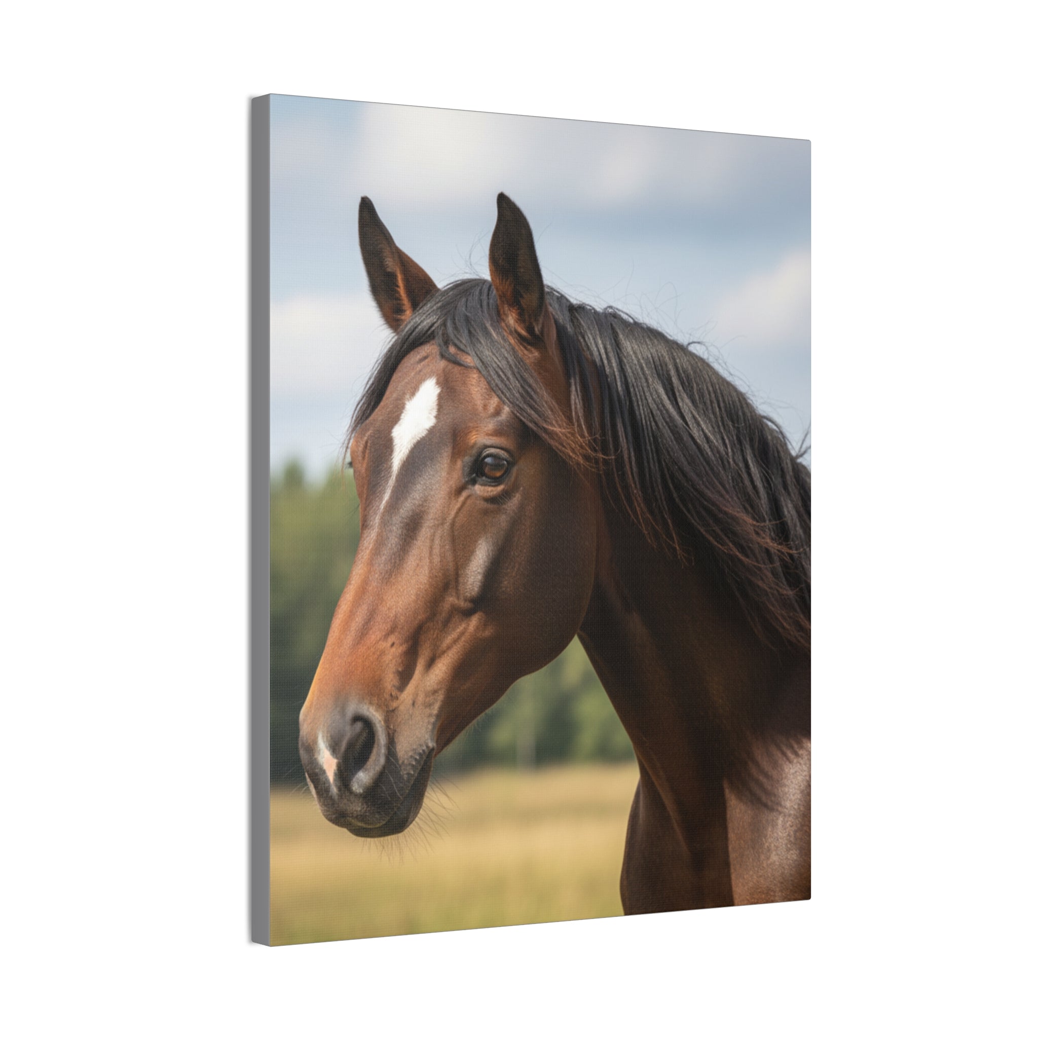 Bay Horse Portrait Canvas Print / Wall Art for Equestrian Lovers