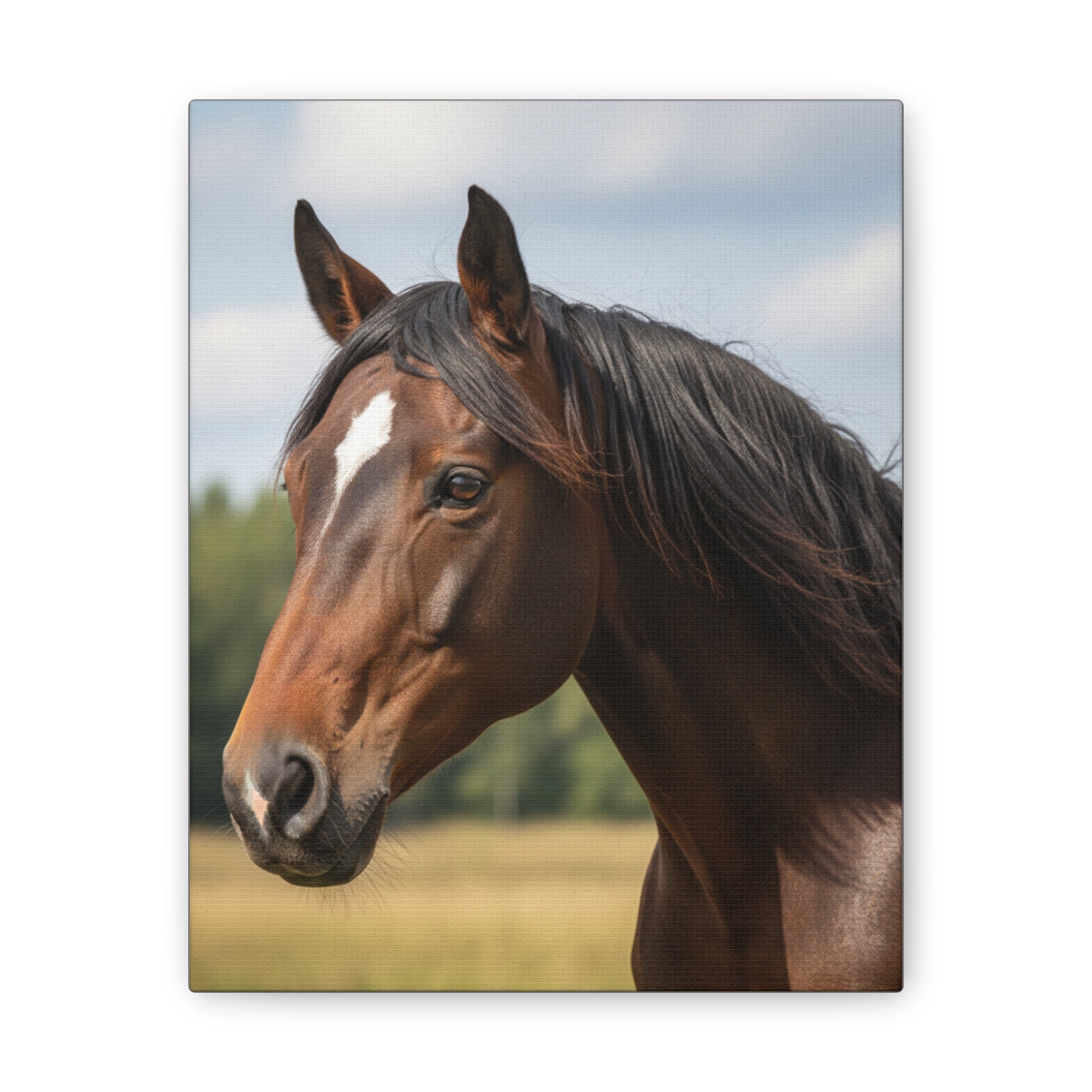 Bay Horse Portrait Canvas Print / Wall Art for Equestrian Lovers