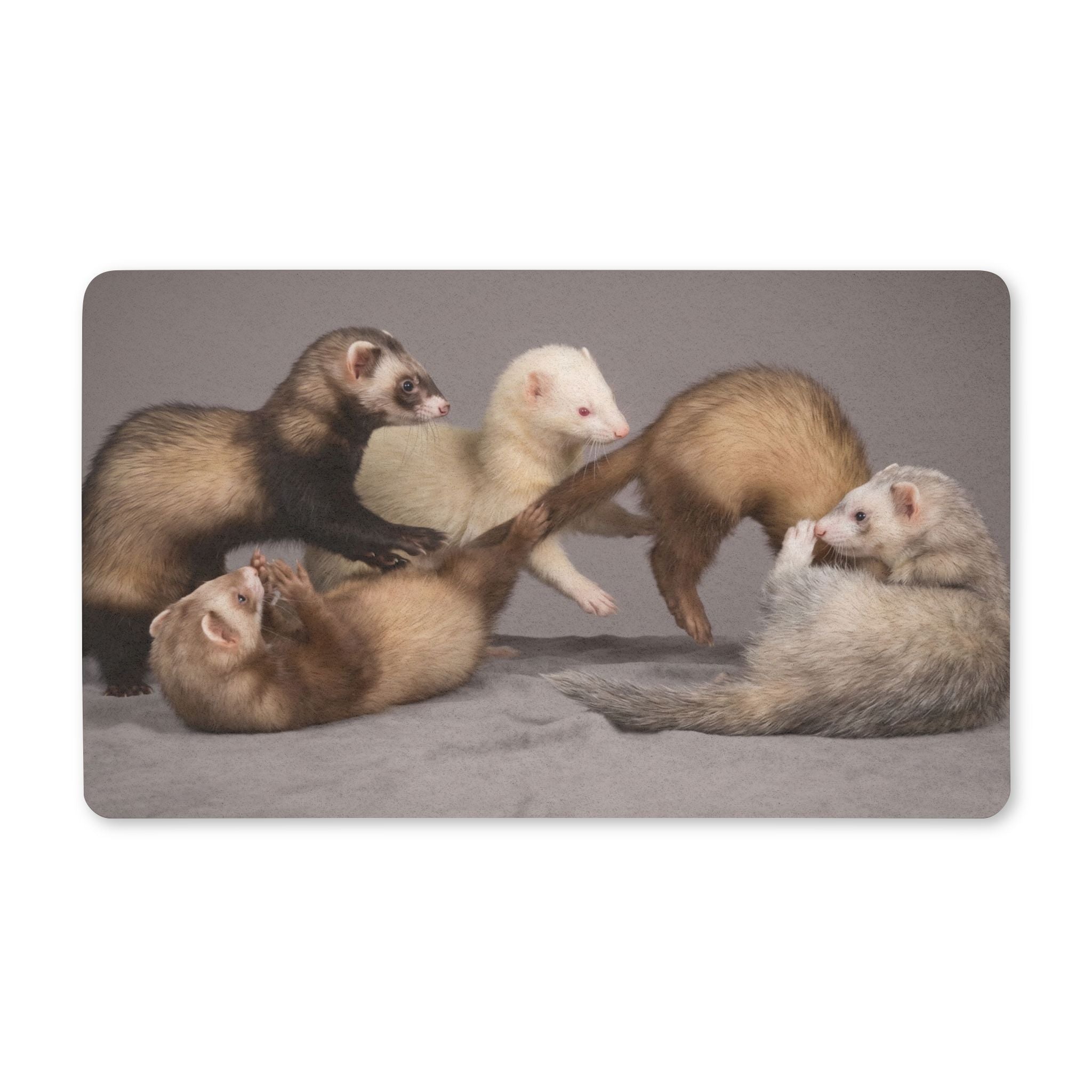 Playful Ferret Group Polyester Doormat | Pet Lover Home Decor