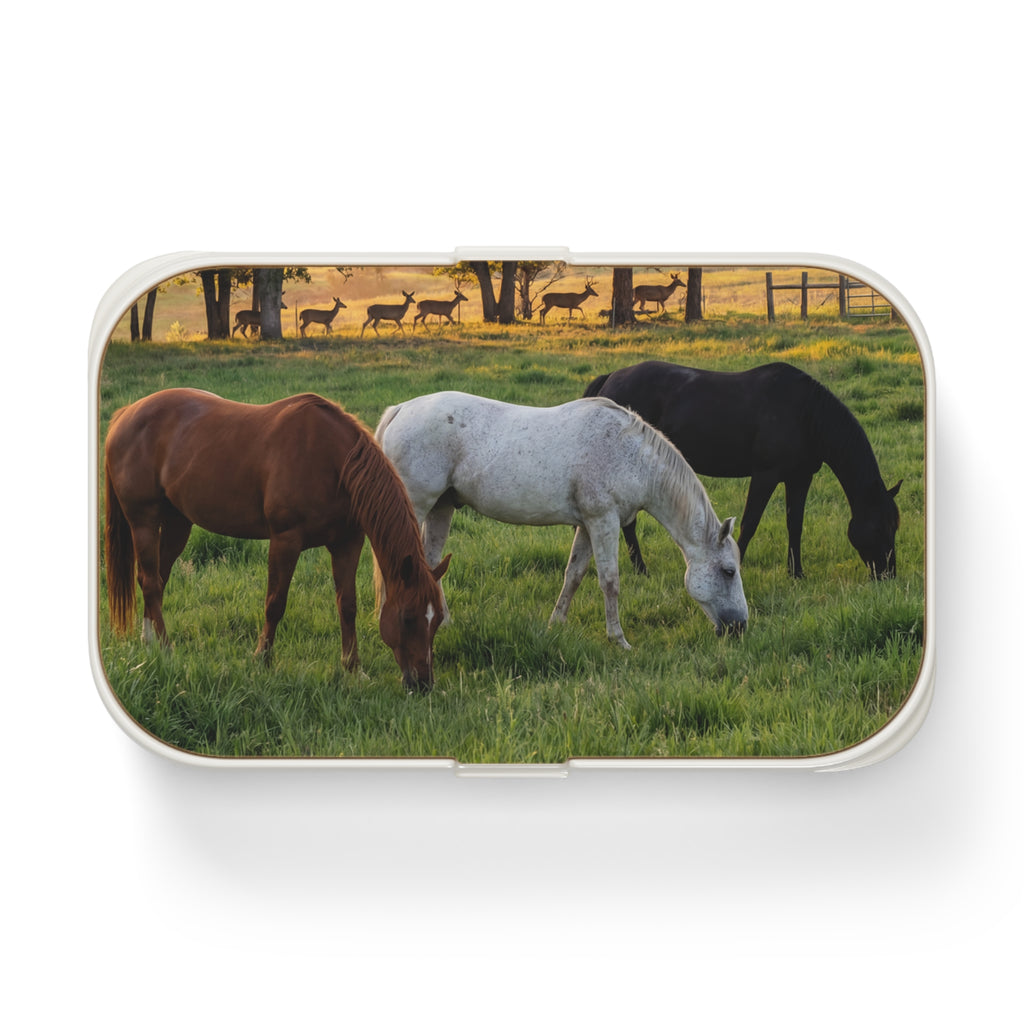 Horse Print Bento Lunch Box