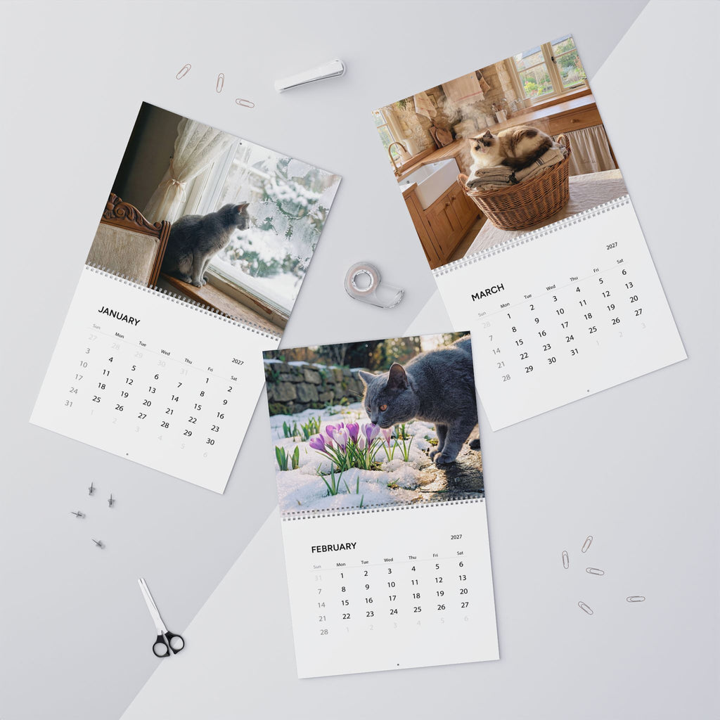 Cozy Cat Photography Wall Calendar | 2027 Monthly Cat Photo Calendar