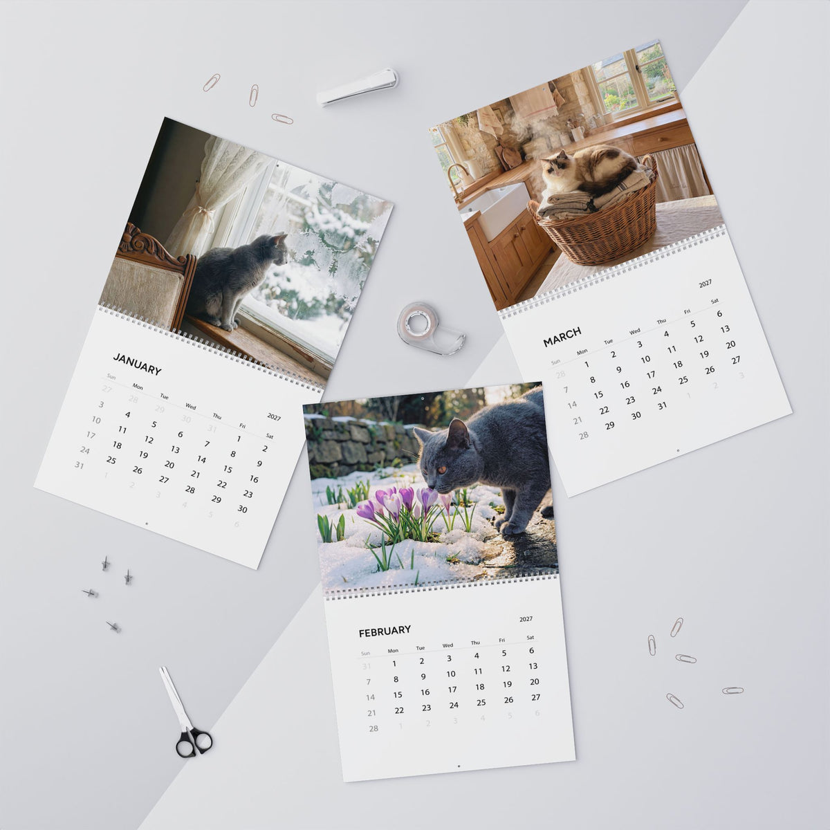 Cozy Cat Photography Wall Calendar | 2027 Monthly Cat Photo Calendar