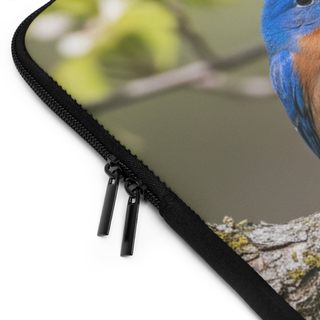 Laptop Sleeve Eastern Bluebirds on Branch | Nature Bird Photography
