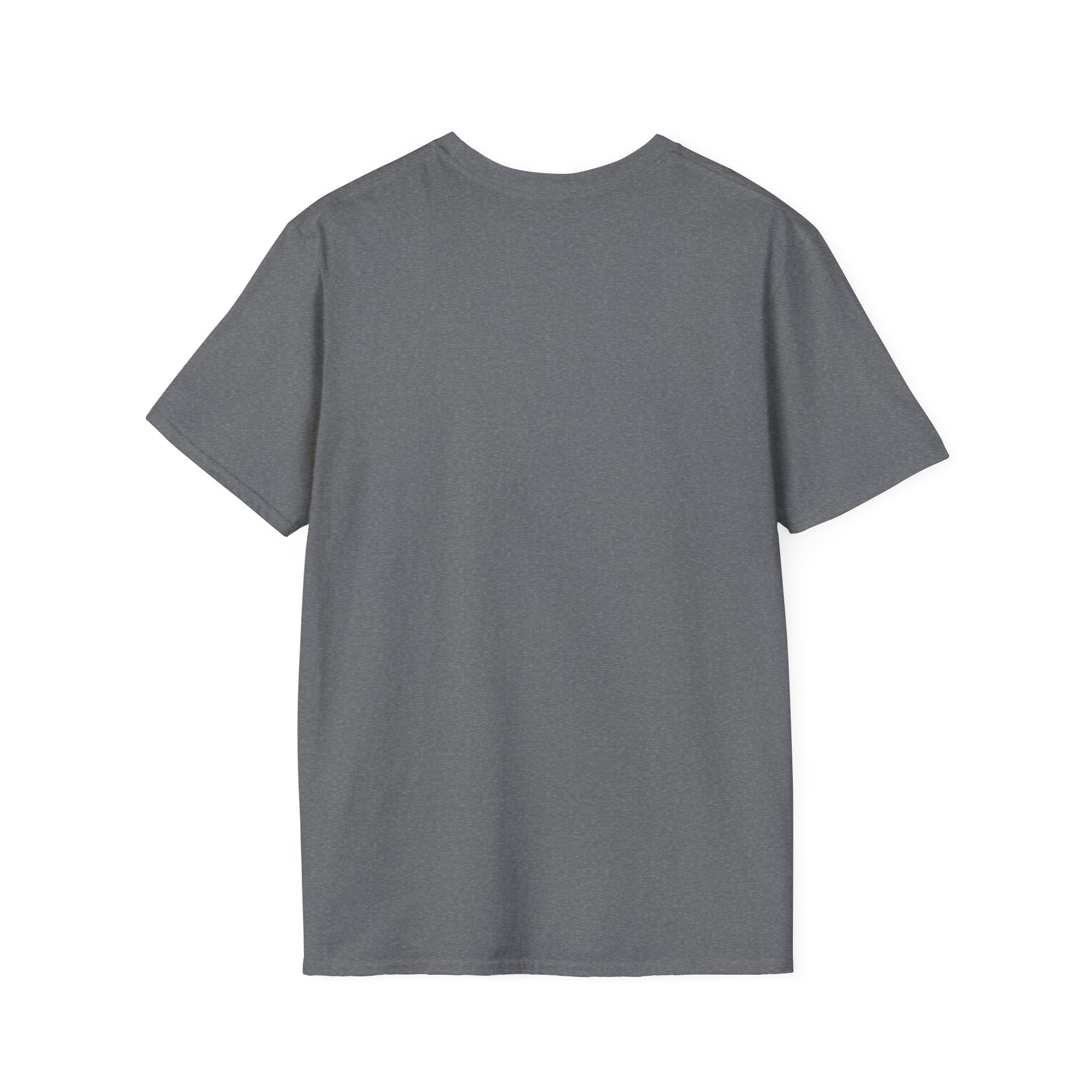T‑Shirt – "She’s not delivering mail, she’s delivering a little wind" Cute Postal Worker Illustration Tee
