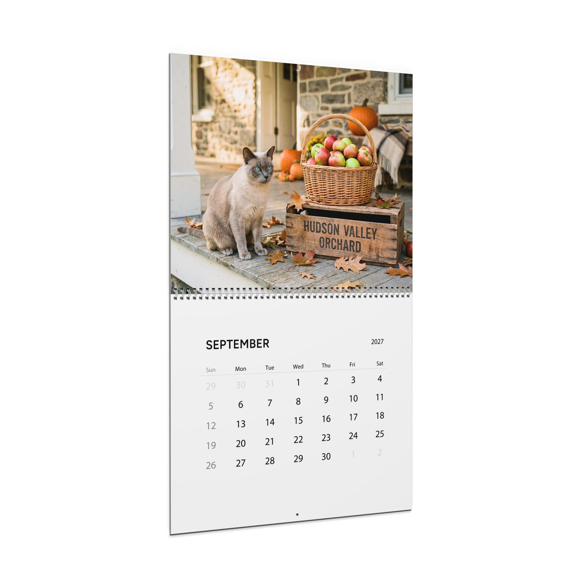 Cozy Cat Photography Wall Calendar | 2027 Monthly Cat Photo Calendar