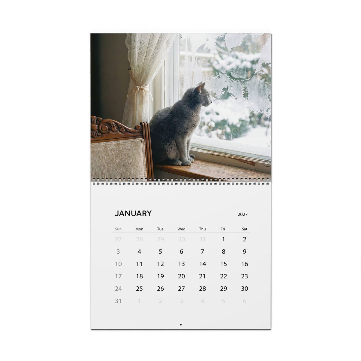 Cozy Cat Photography Wall Calendar | 2027 Monthly Cat Photo Calendar
