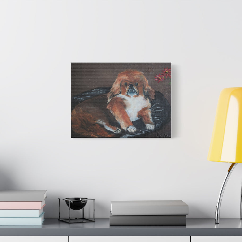 Pekingese Dog Portrait Canvas/Pet Art Matte Stretched