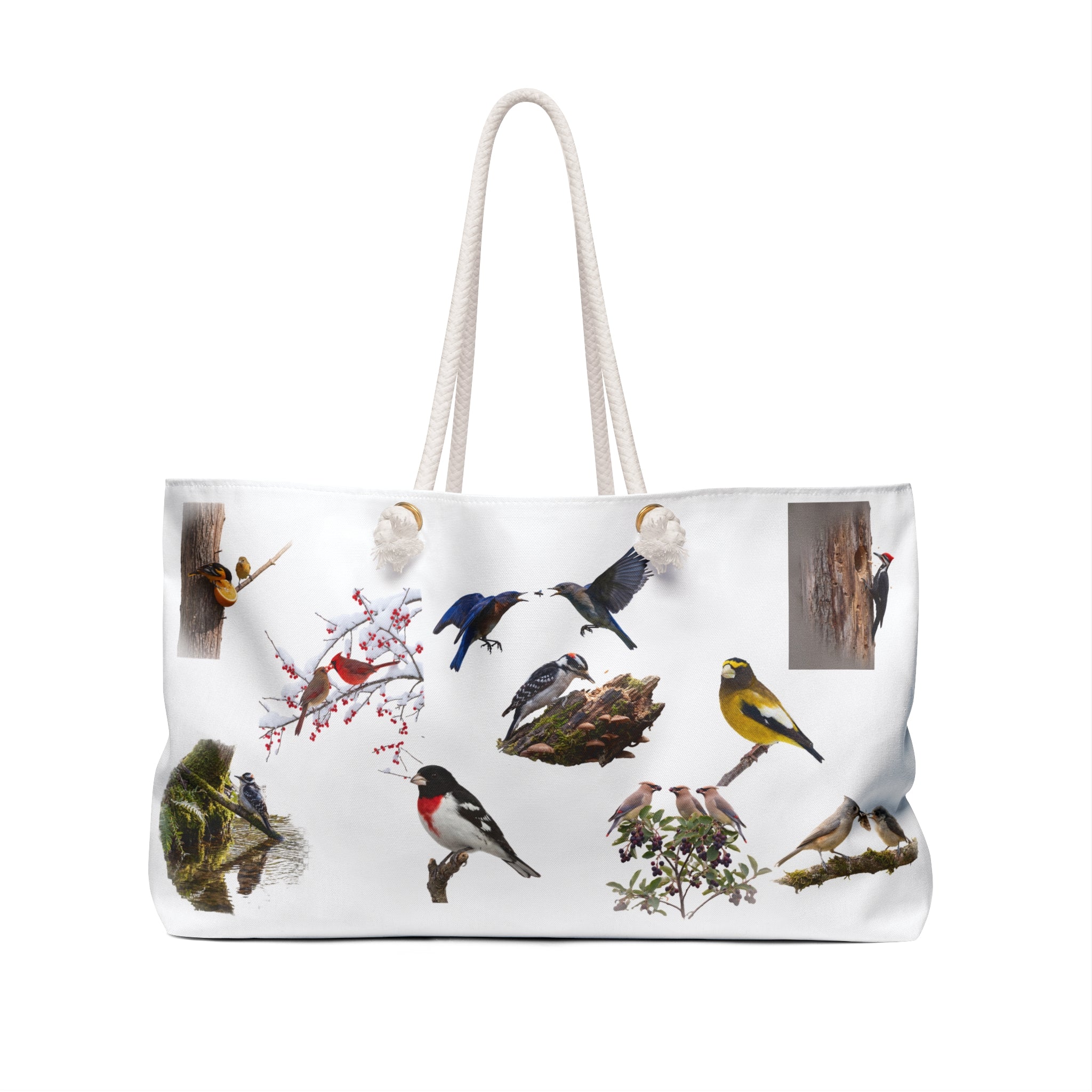 Weekender Bag/Bird Illustration / Botanical Songbird Travel Tote