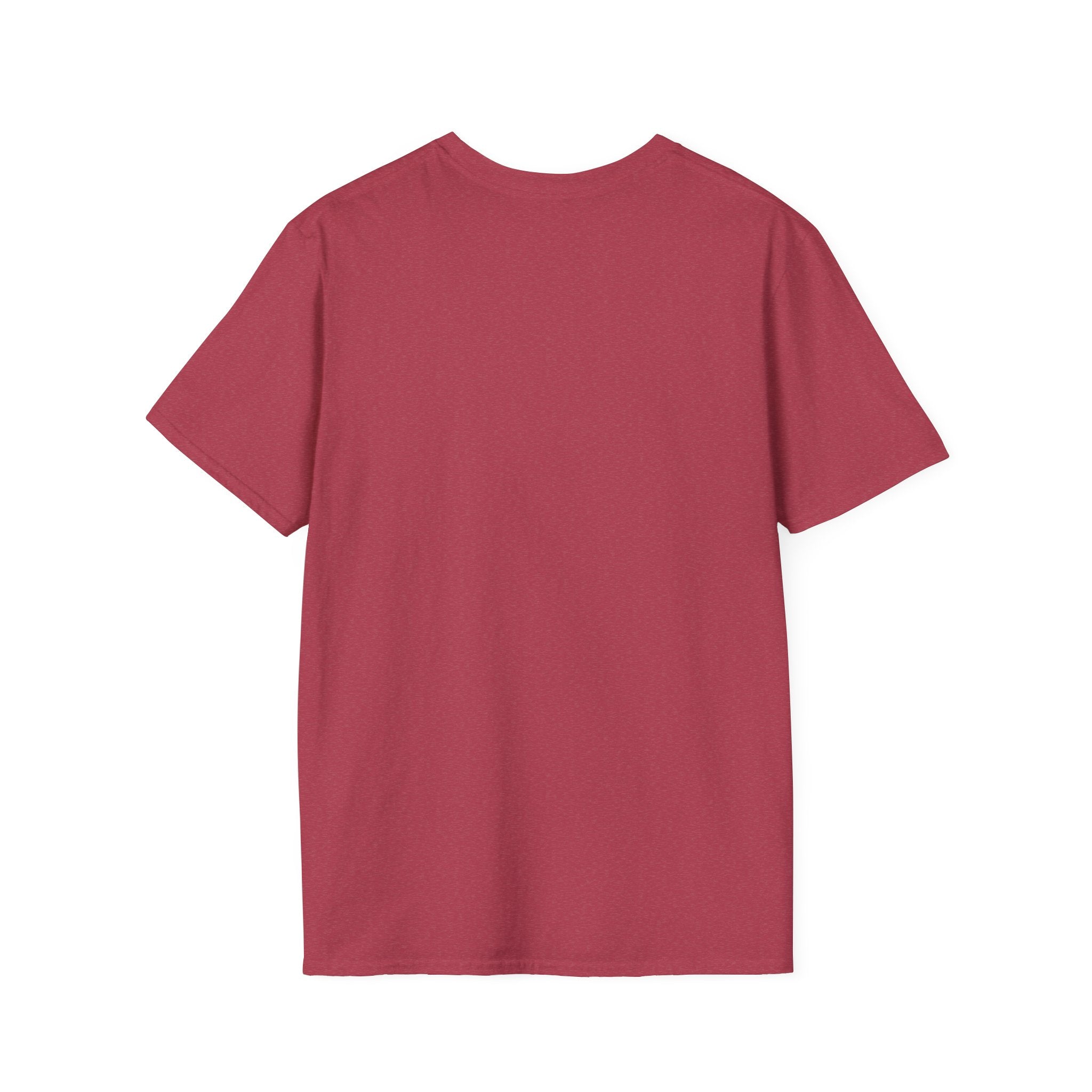 T‑Shirt – "She’s not delivering mail, she’s delivering a little wind" Cute Postal Worker Illustration Tee
